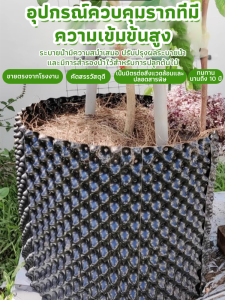 สวนหลังคาควบคุมรากและปลูกกระถาง ท่อระบายน้ำกระถางดอกไม้พิเศษ/สวนหลังคาควบคุมรากและปลูกกระถาง กระถางดอกไม้พลาสติกพิเศษ