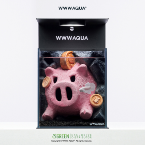 WWWAQUA | Lucky Oink (Desktop Nano Aquarium)
