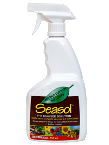 Seasol The Organic Seaweed Solution 750mL. Ideal for Patios Courtyards Balconies & All Potted Plants. All-in-one Gardening Solution