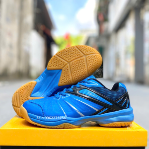 Giày cầu lông bóng chuyền Promax 19004 Xanh