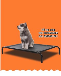 Doremiu - Giường cho chó mèo có thể gấp gọn- Giường sắt chó