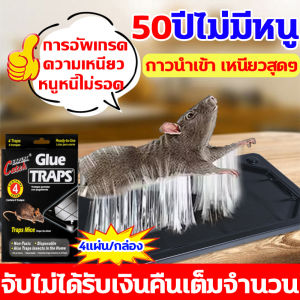 👍ไม่มีที่ไหนให้หลบหนีหนู👍 กาวดักหนู กาวดักหนู แน่นๆ กับดักหนู 4 แผ่น/แพ็ค กําจัดหนู เหนียวพิเศษ + กาวกลิ่นถั่ว + ตัวกระดานหนา กล่องดักหนู ยาดักหนู กาวดักหนูถาด ยากันหนู กรงจับหนู
