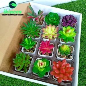 Kaktus Artificial Latex Kaktus Plastik Tanaman Artificial Bunga Plastik Homedecor Bunga Pot Tanaman Hias Murah