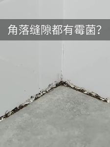 日本进口除霉剂啫喱洗衣机冰箱胶圈去霉斑神器墙体墙面霉菌清除剂