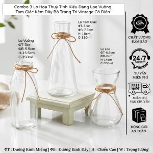 Bộ 3 Lọ Hoa Thủy Tinh Decor Cổ Ðiển Dáng Tròn Vuông Tam Giác Kèm Dây Thừng Trang Trí Nhà Cửa