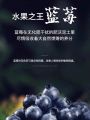 Beijing Tongrentang blueberry lutein ester tablet eye care 北京同仁堂蓝莓叶黄素酯片护眼. 