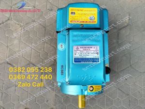 Mô tơ điện 220v 3kw 2900vòng /phút chính hãng Toàn Phát