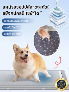 ผ้าอ้อมสัตว์เลี้ยงแบบใช้ซ้ำได้ ผ้าอ้อมสัตว์เลี้ยงแบบซักได้ ผ้าอ้อมฝึกหัดแบบกันลื่นและซึมซับได้ดี ผ้าอ้อมสัตว์เลี้ยงแบบใช้ซ้ำได้