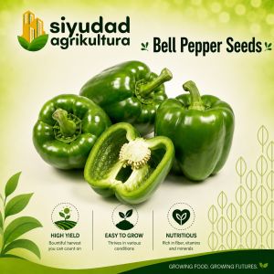 Repacked Premium Bell Pepper Seeds | High-Quality Sweet Pepper Vegetable Seeds for Home Garden Backyard Urban Gardening Container Planting Vegetable Garden & Farming