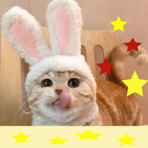 Pet Christmas Hat Pet Hood Cat Hood Pet Dog Hat Cat Cute Hood Pet Dress Up Accessories