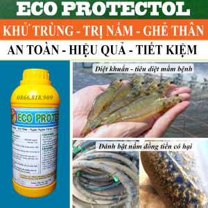 Chai 1L Protectol Trị Nấm Đồng Tiền - Sát Khuẩn Ao Nuôi Tôm