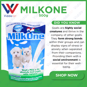 Viddavet Milk One 500g: Deliciously Fortified for Happy Animals