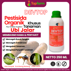 Obat Hama Ubi Jalar Lanas / Obat Pembasmi Hama Ubi Jalar / Obat Hama Daun Ubi Jalar / Obat Ulat Pada Tanaman Ubi Jalar / Obat Busuk Batang Ubi Jalar / Obat Cair Untuk Ubi Jalar / Obat Semprot Ubi Jalar