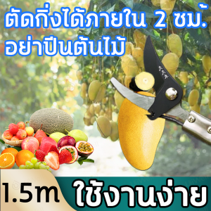 กรรไกรตัดกิ่งด้ามยาว กรรไกรตัดกิ่งไม้สูง 1.5 เมตร ไม่เป็นสนิมง่าย ตัดง่าย ทนทาน ซึ่งเป็นกรรไกรที่มีคุณภาพ ซึ่งสามารถใช้เล็มกิ่งได้ เก็บผลไม้บนที่สูง ฯลฯ