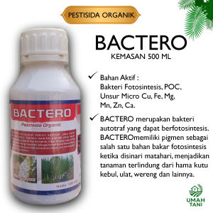 BACTERO PESTISIDA ORGANIK NABATI Kemasan 500 ML melindungi hama serangga kutu kebul wereng ulat