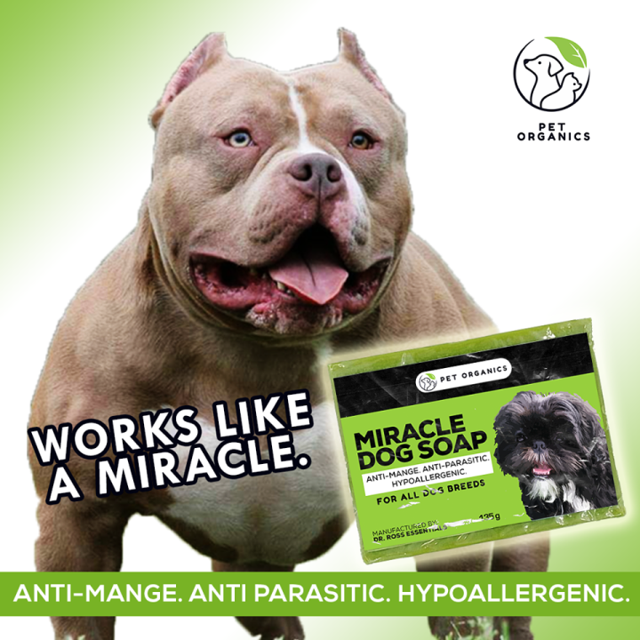 MIRACLE DOG SOAP For AntiMange and Hypoallergenic, ANTI ITCH, TICK AND