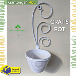 Gantungan Pot Bunga Besi & Dekorasi Tanaman Hias Minimalis