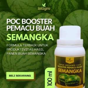 Pupuk Pembesar Buah Semangka / Pupuk Booster Pemanis Penyubur Tanaman Buah Semangka Kocor Ampuh