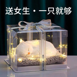 🔥七夕送礼🔥Birthday gifts girls give girlfriends girlfriends and mothers practical and creative 520 advanced ceremonial Christmas gifts 可爱宠物生日礼物女七夕情人节