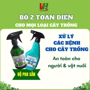 Bộ đôi toàn diện Biogreen chai pha sẵn diệt và phòng mọi loại nấm bệnh rầy rệp nhện đỏ côn trùng phá hoại cây trồng như rau hoa hồng lan mai vàng cây ăn quả cây trong nhà