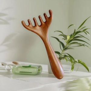 ESH63 5Pcs Scalp Relax Meridian Massage Comb Blood Circulation Sandalwood Sandalwood Hair Comb Acupoint Massager Anti-static Scalp Meridian Massager Women