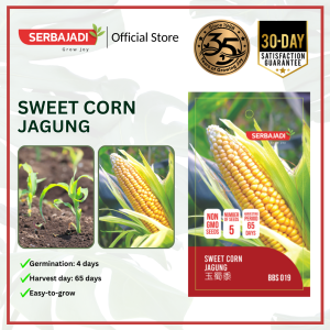 Serbajadi Vegetable Seed Sweet Corn Yellow Sweet Corn | Fruiting Vegetable | Biji Benih Jagung Manis | 甜玉米种子 | 1g