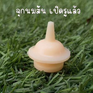 จุกนมแมวเล็ก แมวน้อย จุกป้อนนมสัตว์ จุกนมแมว สุนัข กระรอก กระต่าย หนู สัตว์ลูกกำพร้า ไซริงค์ป้อนม