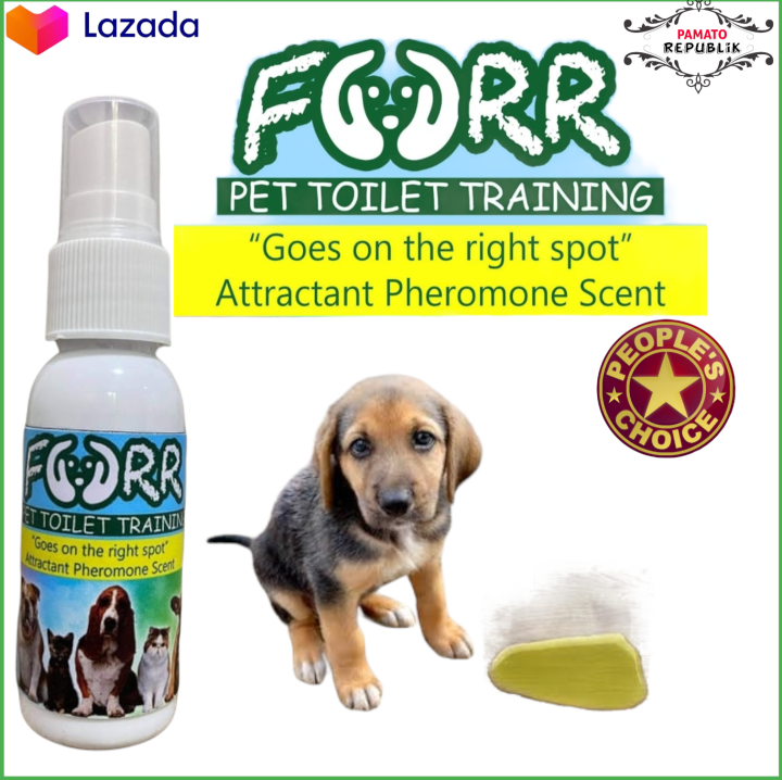 Pee Pads Dog Pee Attractant Spray Best Dog Pee Attractant Clearance