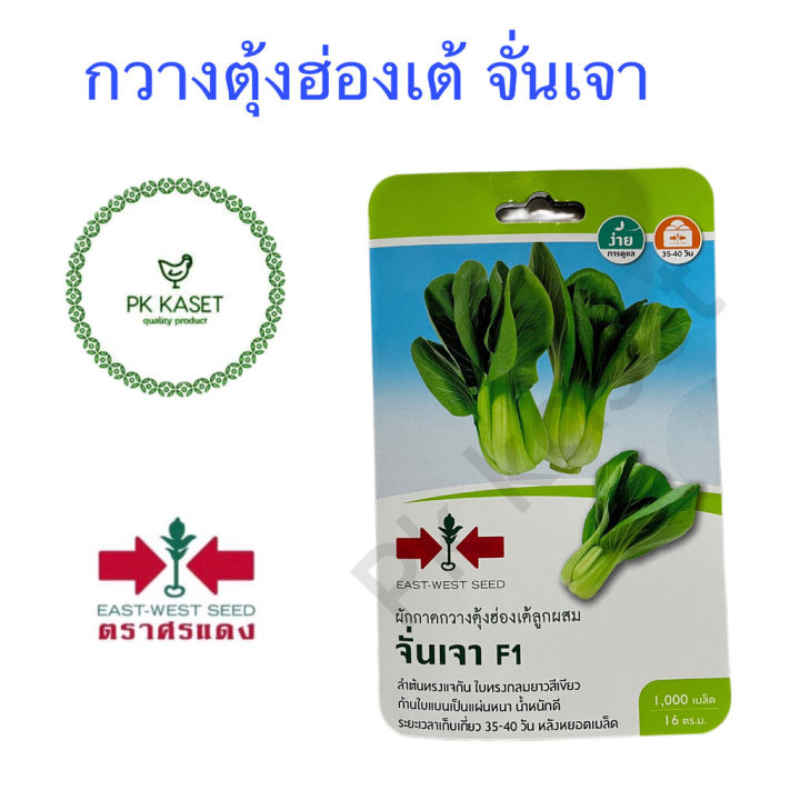 เมล็ดกวางตุ้งฮ่องเต้ลูกผสม จั่นเจา ตราศรแดง