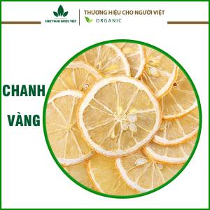 Kiwi sấy dẻo không đường 100g và tổng hợp 20 loại hoa quả sấy thơm ngon - Chợ Thảo Dược Việt