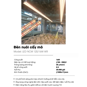 (Rạng Đông) Các loại đèn LED nuôi cấy mô trồng cây NCM NCM02 CP10 T8