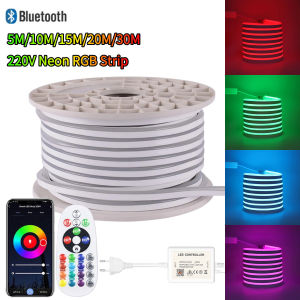 [Support Lalamove Bulk Order] Neon RGB Strip Outdoor Waterproof Flexible Neon Strip Smart Bluetooth App Remote Control Change Color Dimmable Light Strip Home Ceiling Cove Decoration