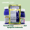 Insektisida Curacron 500EC 100ml 250ml 500ml Profenofos Pembasmi Kutu Daun Ulat Grayak Thrips. 
