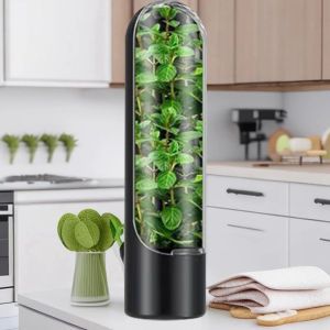 Refrigerator Fruit Vegetable Crisper Vanilla Fresh Herb Keeper Herb Storage Container Multifunction Storage Utensil Kitchen
