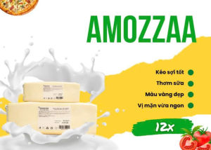 ( giao toàn quốc) PHÔ MAI MOZZARELA VILVI SIÊU KÉO SỢI ( KHÔNG KÈM THÙNG XỐP ĐÁ GELL)