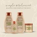 [PRE-ORDER] Aveeno Farm-Fresh Oat Milk Sulfate-Free Shampoo with Colloidal Oatmeal & Almond Milk, Moisturizing Shampoo for All Hair Types, Safe for Color-Treated Hair, Paraben & Dye-Free, 12 Fl Oz (ETA: 2023-08-31). 