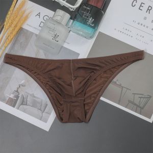 Men Ice Silk Briefs Low-rise See-through Shorts Soft Breathable Pouch Underwear