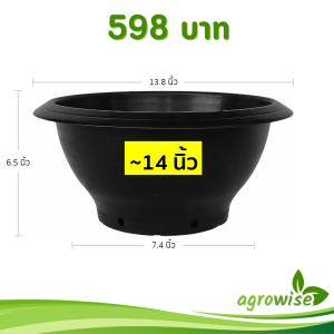 กระถาง อ่างบัว อ่างชวนชม มีรู ขนาด 13 นิ้ว สีดำ 20 ใบ ชิ้น อัน