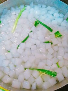 1kg thạch dừa thô ép khô dạng miếng đặc sản bến tre tặng hương vải - Đồ ăn vặt SUSUTOSHOP