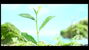 Tea Fragrance Oolong Tea Authentic Tie Guan Yin Tea Strong Fragrance Canned 茶香乌龙茶茶叶正宗安溪铁观音茶浓香罐装 YY82