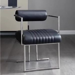 Sacesr Modern Simple Style Dining Chairs Stainless Steel Frame Seat Household Leisure Stool Soft Comfort Single Dining Rest Furniture 3T7R1