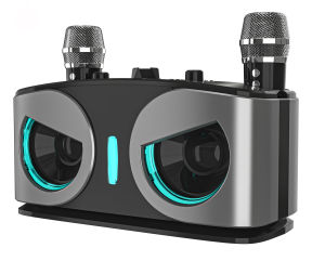 Karaoke Bluetooth Speaker With Dual Mic Wireless Bluetooth Microphone Karaoke Speaker 9D Stereo Bass Amplifier Party RGB LED Light Portable Home KTV Sound Speaker