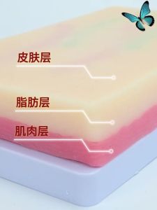 Venipuncture Training Arm Multi Vein Practice Model Medical Demo Injection Kit