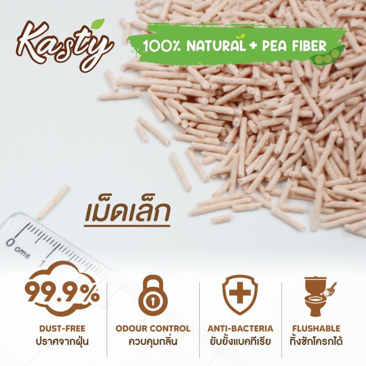 Kasty%20%E0%B8%97%E0%B8%A3%E0%B8%B2%E0%B8%A2%E0%B9%81%E0%B8%A1%E0%B8%A7%E0%B9%80%E0%B8%95%E0%B9%89%E0%B8%B2%E0%B8%AB%E0%B8%B9%E0%B9%89%20%E0%B8%81%E0%B8%A5%E0%B8%B4%E0%B9%88%E0%B8%99%E0%B8%97%E0%B8%B5%E0%B8%A3%E0%B8%B2%E0%B8%A1%E0%B8%B4%E0%B8%AA%E0%B8%B8%20%E0%B8%A5%E0%B8%B2%E0%B9%80%E0%B8%95%E0%B9%89%20%E0%B8%9C%E0%B8%A5%E0%B8%B4%E0%B8%95%E0%B8%88%E0%B8%B2%E0%B8%81%E0%B8%96%E0%B8%B1%E0%B9%88%E0%B8%A7%E0%B8%A5%E0%B8%B1%E0%B8%99%E0%B9%80%E0%B8%95%E0%B8%B2%E0%B8%98%E0%B8%A3%E0%B8%A3%E0%B8%A1%E0%B8%8A%E0%B8%B2%E0%B8%95%E0%B8%B4%20%E0%B9%84%E0%B8%A3%E0%B9%89%E0%B8%9D%E0%B8%B8%E0%B9%88%E0%B8%99%20%E0%B9%80%E0%B8%81%E0%B9%87%E0%B8%9A%E0%B8%81%E0%B8%A5%E0%B8%B4%E0%B9%88%E0%B8%99%E0%B8%94%E0%B8%B5%20%E0%B9%80%E0%B8%A1%E0%B9%87%E0%B8%94%E0%B9%80%E0%B8%A5%E0%B9%87%E0%B8%81%20-%20Image%203