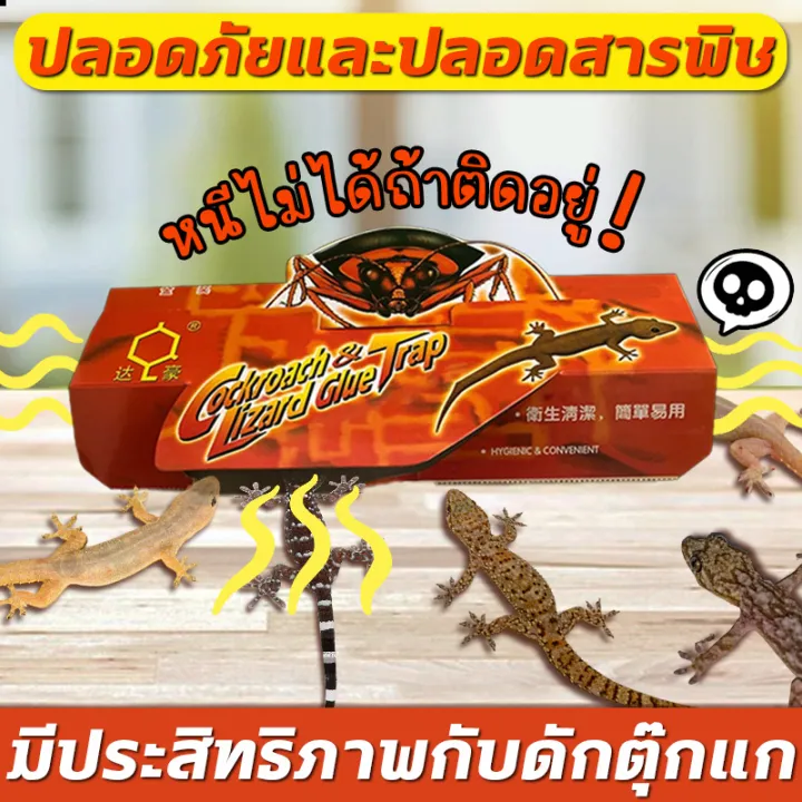🦎30แผ่น ติดตุ๊กแกได้ง่าย🦎กําจัดจิ้งจก ดักจิ้งจก บ้านจิ้งจก การจับตุ๊กแก ...