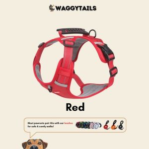 [SG] Adjustable Reflective Dog Harness for Small Medium Large Dogs