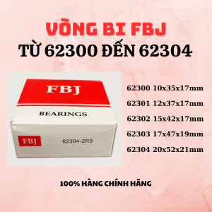 Vòng bi FBJ 62300 62301 62302 62303 62304