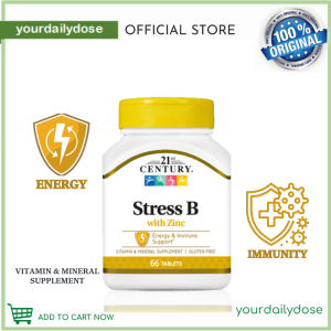 21st Century Stress B with Zinc 66 Tablets