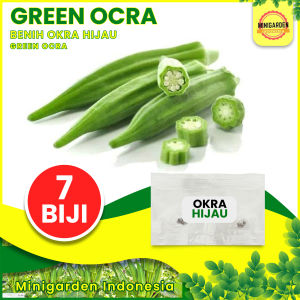 BENIH OKRA HIJAU bibit tanaman okra greennie splendor biji sayur okra herbal