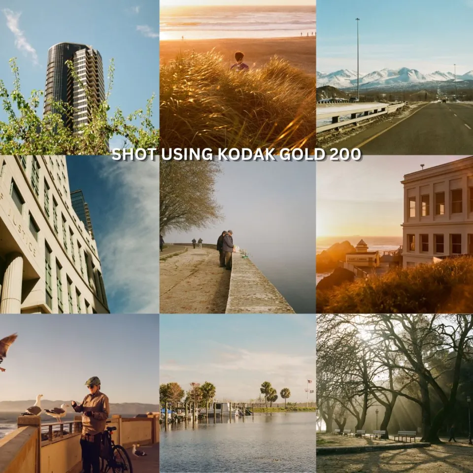 Gold Kodak 200 Iso Kodak Gold 200 ISO Color Print Negative Film
